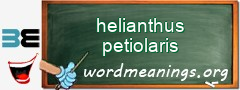 WordMeaning blackboard for helianthus petiolaris
